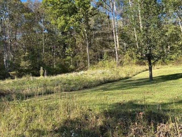 Land for sale in Grafton, West Virginia