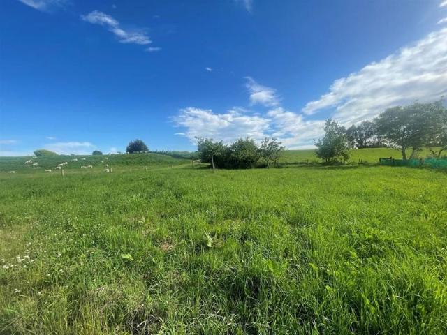 Land for sale in Waimate