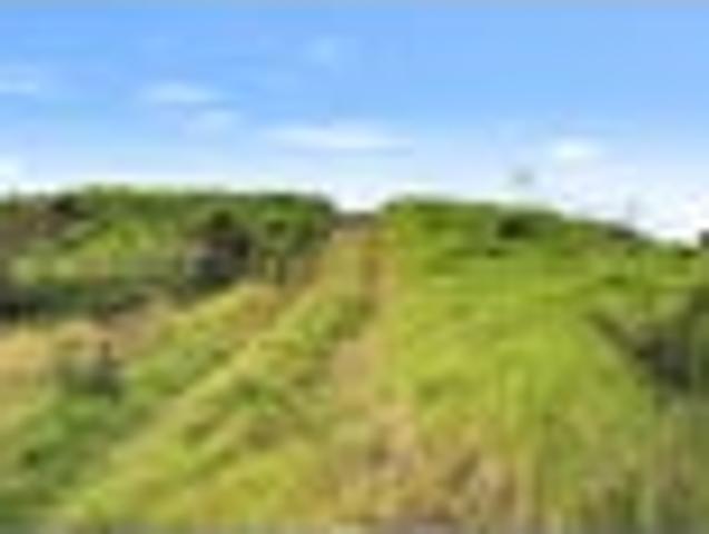 Land for sale in Northland