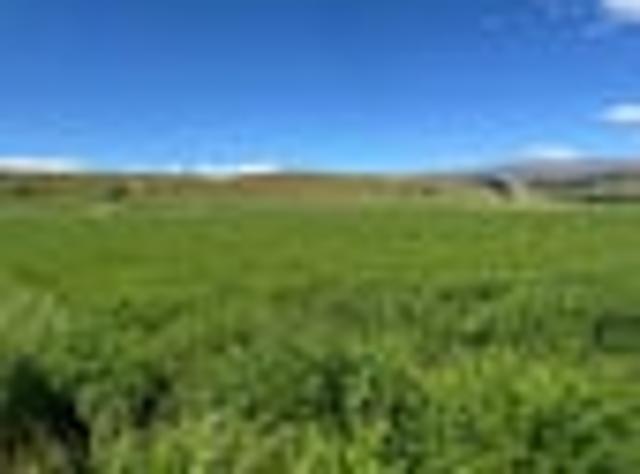 Land for sale in Otakou