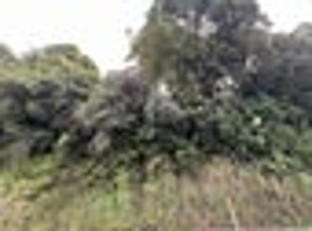Land for sale in West Coast