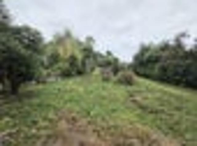 Land for sale in Otakou