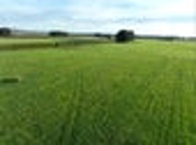 Land for sale in Invercargill, Southland