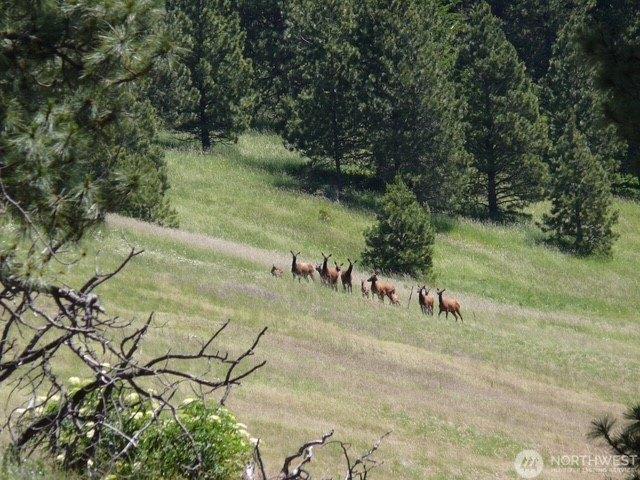 Land for sale in Waitsburg, Walla Walla County