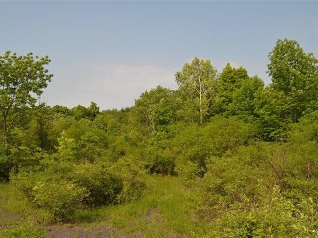 Land for sale in Delmar, New York