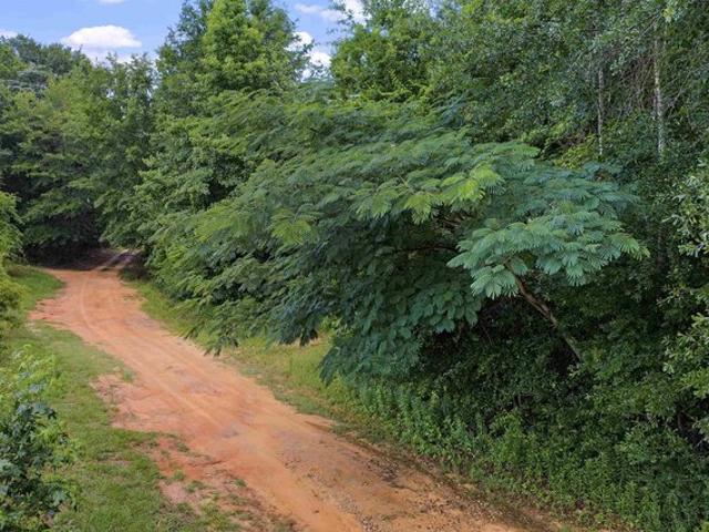 Land for sale in Gladewater, Texas
