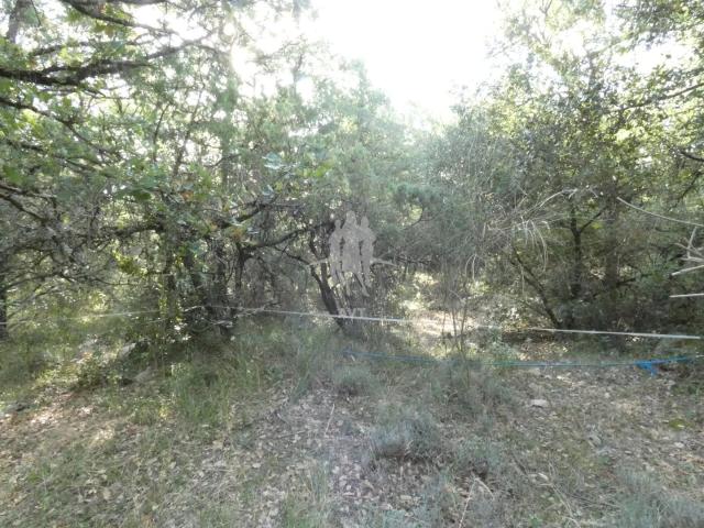 Terrain vente à Arrondissement de Draguignan, Bargemon