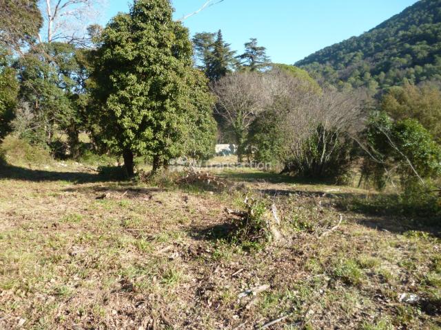 Terrain vente à Arrondissement de Draguignan, Bargemon