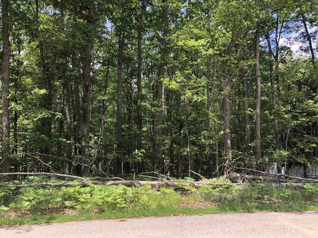 Land for sale in Roscommon, Michigan