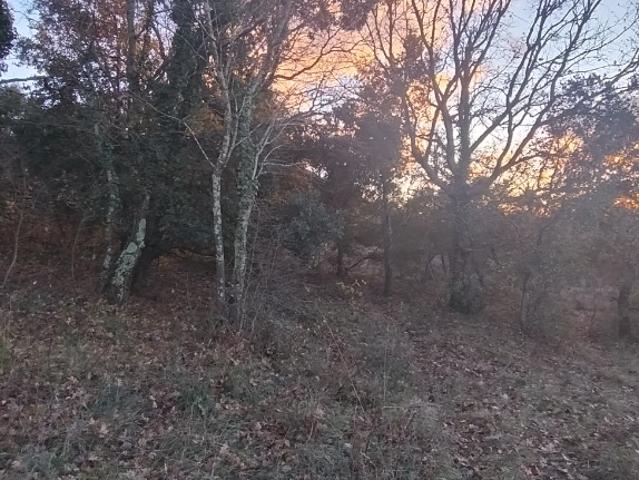 Terrain vente à Alès, Barjac