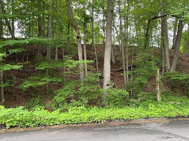 Land for sale in Longmeadow