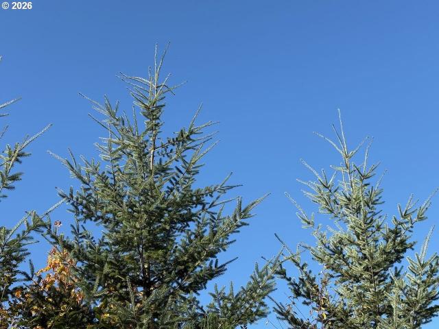 Land for sale in Rainier, Columbia County