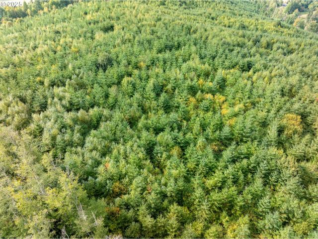 Land for sale in Oregonia