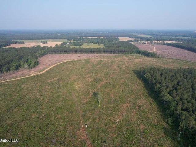 Land for sale in Pelahatchie, Mississippi