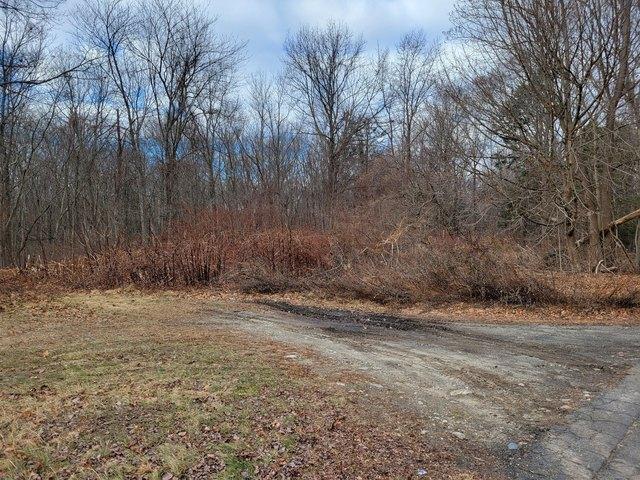 Land for sale in Wolcott, Naugatuck Valley Planning Region