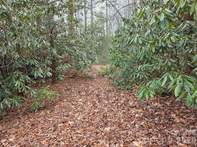 Land for sale in Yancey, North Carolina