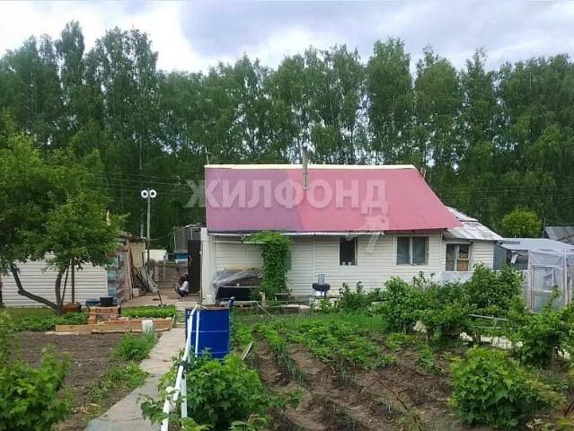 Квартира продажа в Новосибирская область