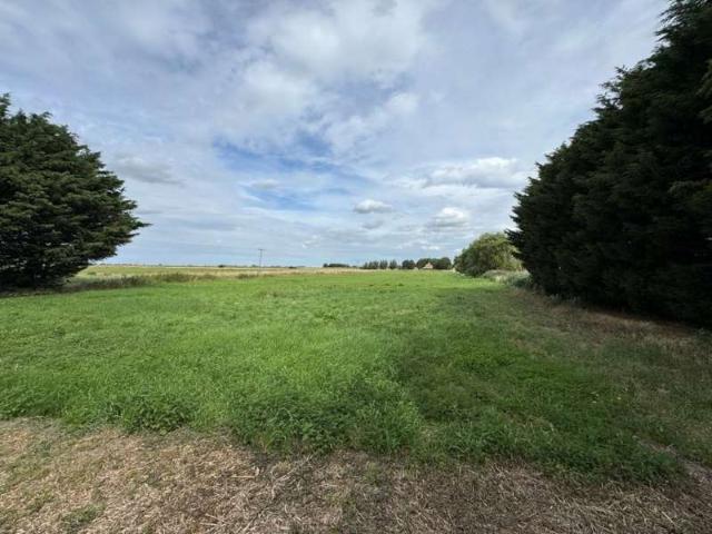 Land for sale in Brookville, Norfolk