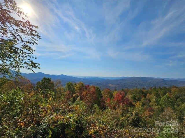 Land for sale in Haywood, North Carolina
