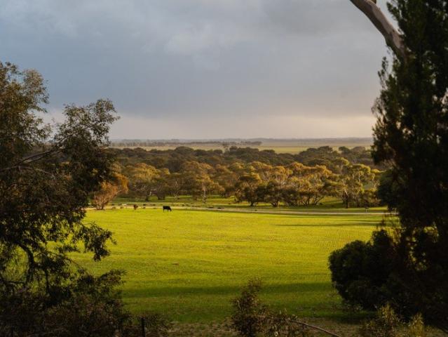 Cottage for sale in Coonalpyn, South Australia