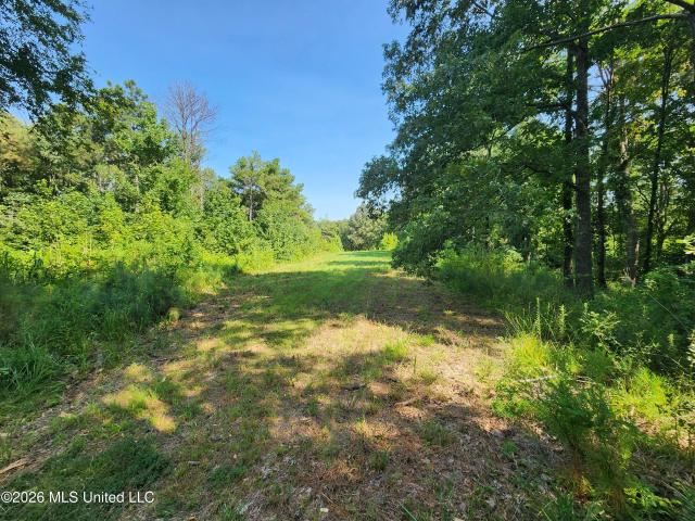 Land for sale in Batesville, Mississippi