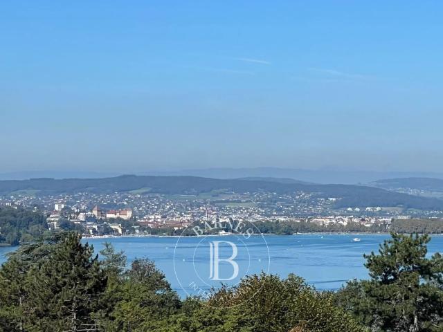 Maison vente à Annecy, Veyrier-du-lac