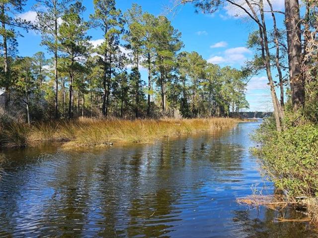 Land for sale in Belhaven, North Carolina