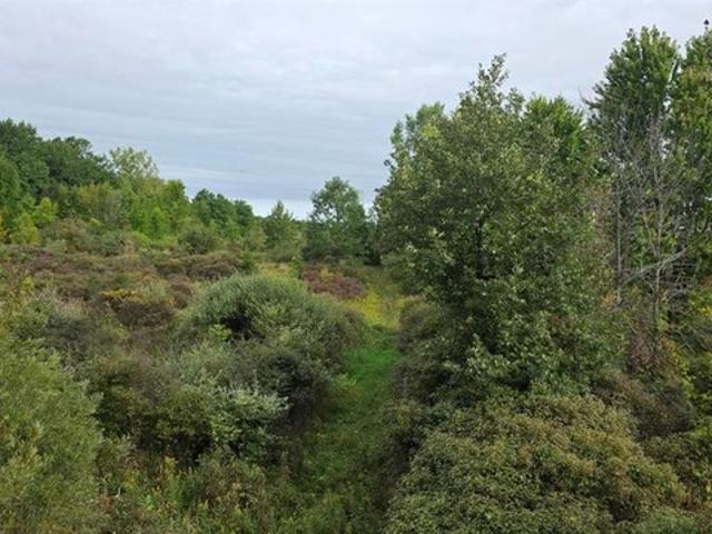 Land for sale in North Branch, Michigan