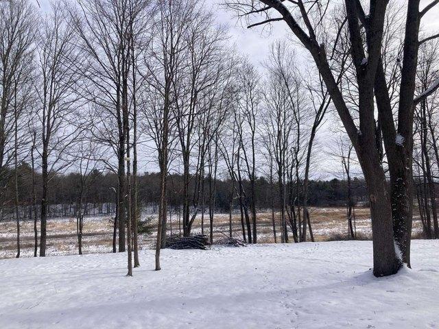 Land for sale in Whiting, Vermont