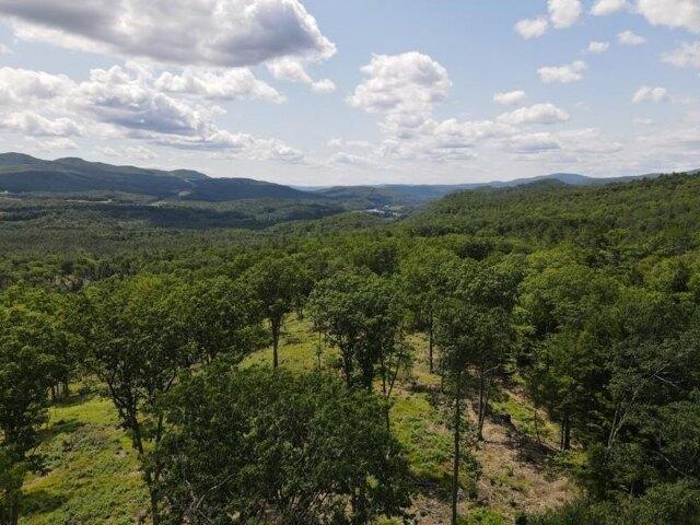 Land for sale in Barnet, Vermont