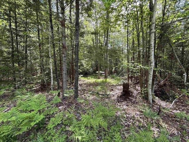 Land for sale in New Hampshire