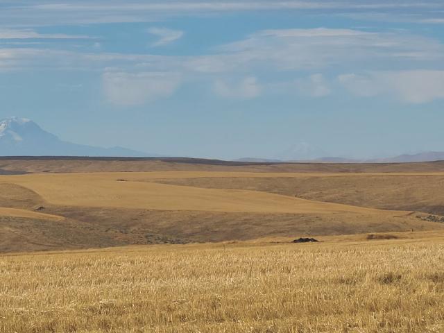 Land for sale in Oregonia