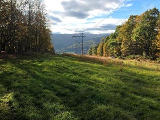 Land for sale in Keyser, Mineral County