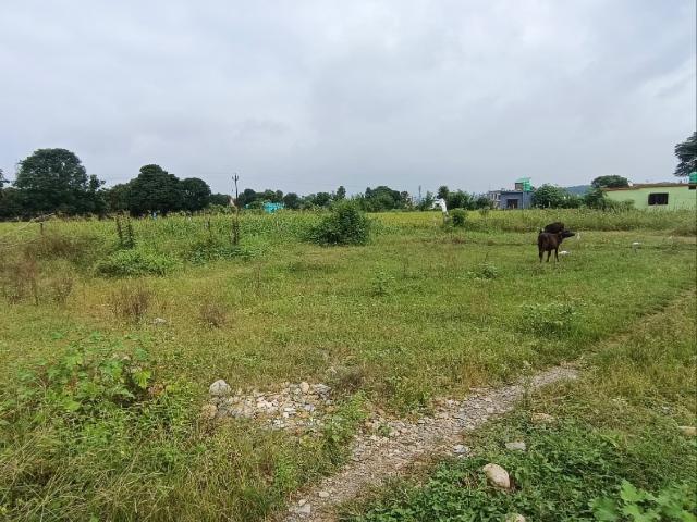 Land for sale in Kedarpur, Uttarakhand