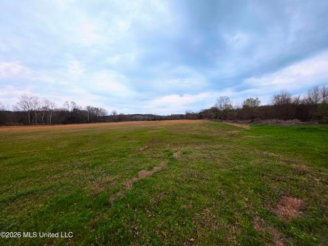 Land for sale in Tate, Mississippi