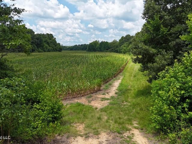 Land for sale in Tate, Mississippi