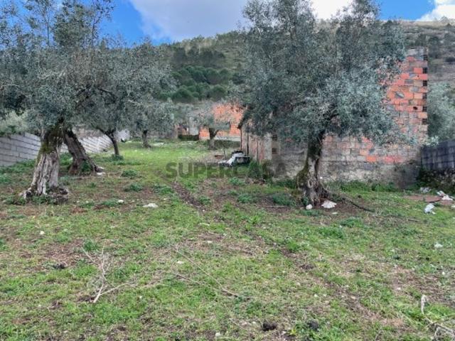 Armazém venda em Porto De Mós, Leiria
