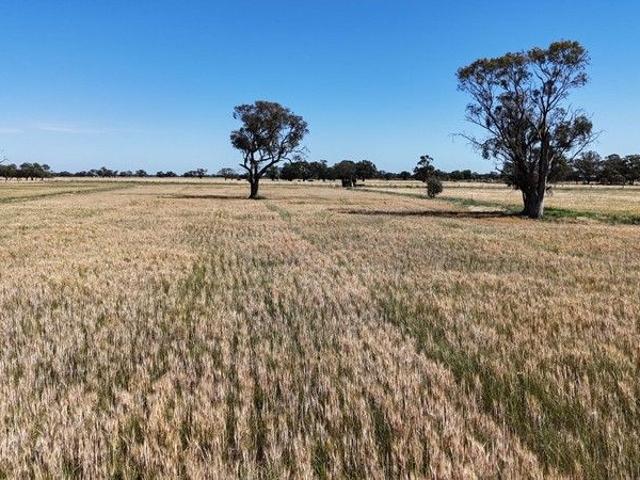 Cottage for sale in Cullen, Victoria