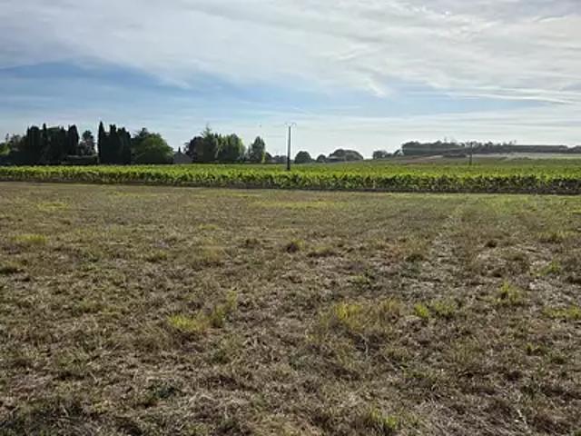 Terrain vente à Cognac, Barret