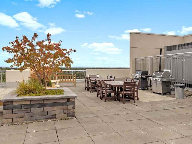 Apartment for rent in Kingston, Ontario