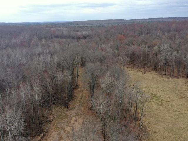 Land for sale in Trego, Wisconsin