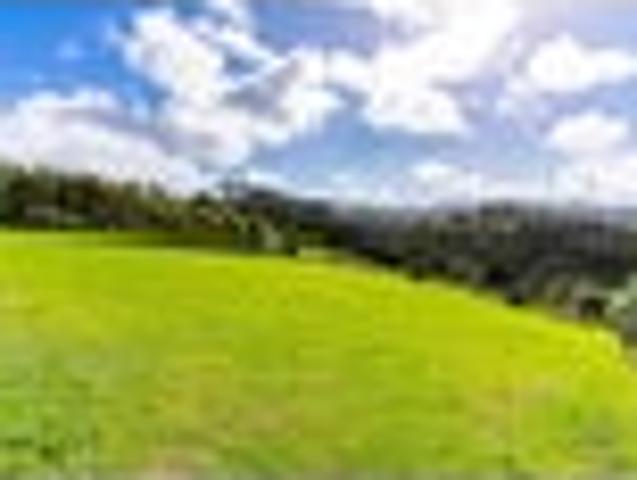 Land for sale in Northland
