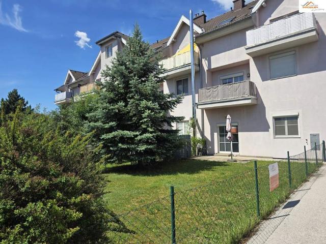 Wohnung kaufen in Neustadtl an der Donau, Niederösterreich