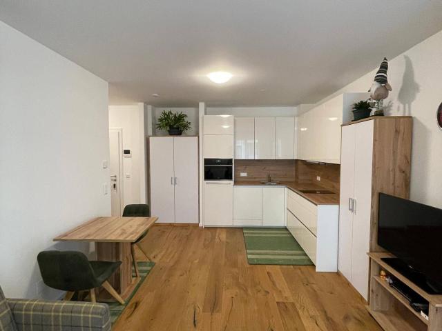 Apartment mieten in Innere Stadt, Judendorf-Straßengel