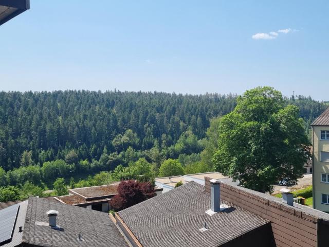 Wohnung kaufen in Altensteig, Baden-Württemberg