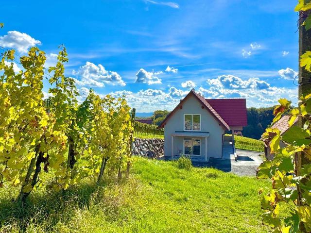 Apartment kaufen in Klöch, Steiermark