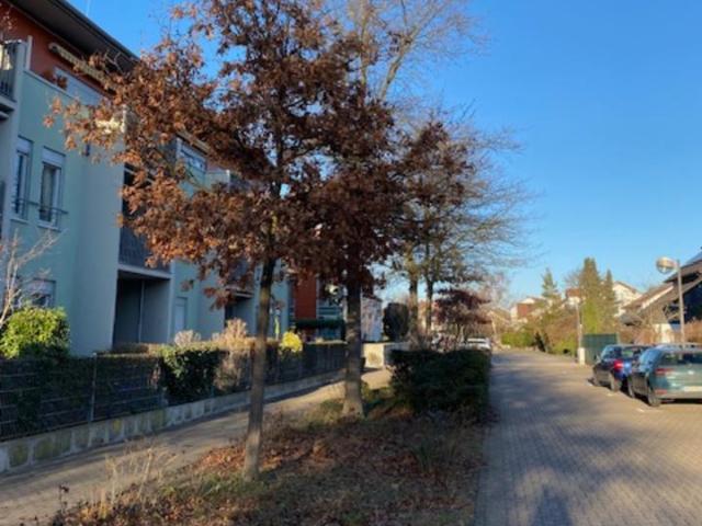 Wohnung kaufen in Limburgerhof, Rheinland-Pfalz