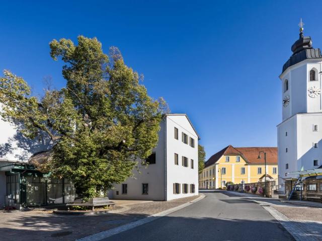 Apartment mieten in Dorfviertel, Steiermark