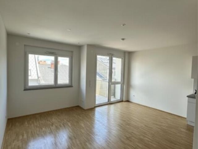 Wohnung mieten in Katastralgemeinde Gries, Graz