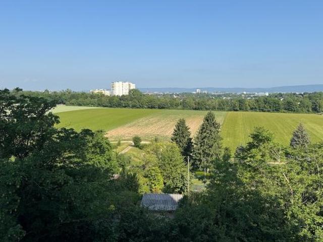 Wohnung kaufen in Mainz, Rheinland-Pfalz